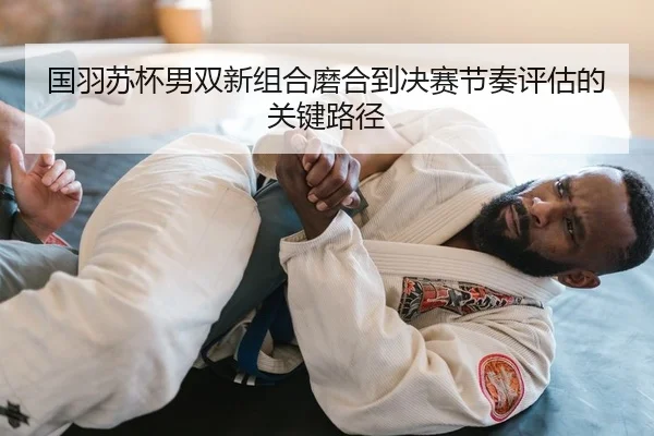 国羽苏杯男双新组合磨合到决赛节奏评估的关键路径